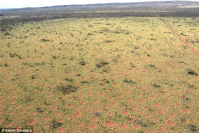 Hình tròn bí ẩn nghi dấu vết người ngoài hành tinh ở Australia ảnh 1