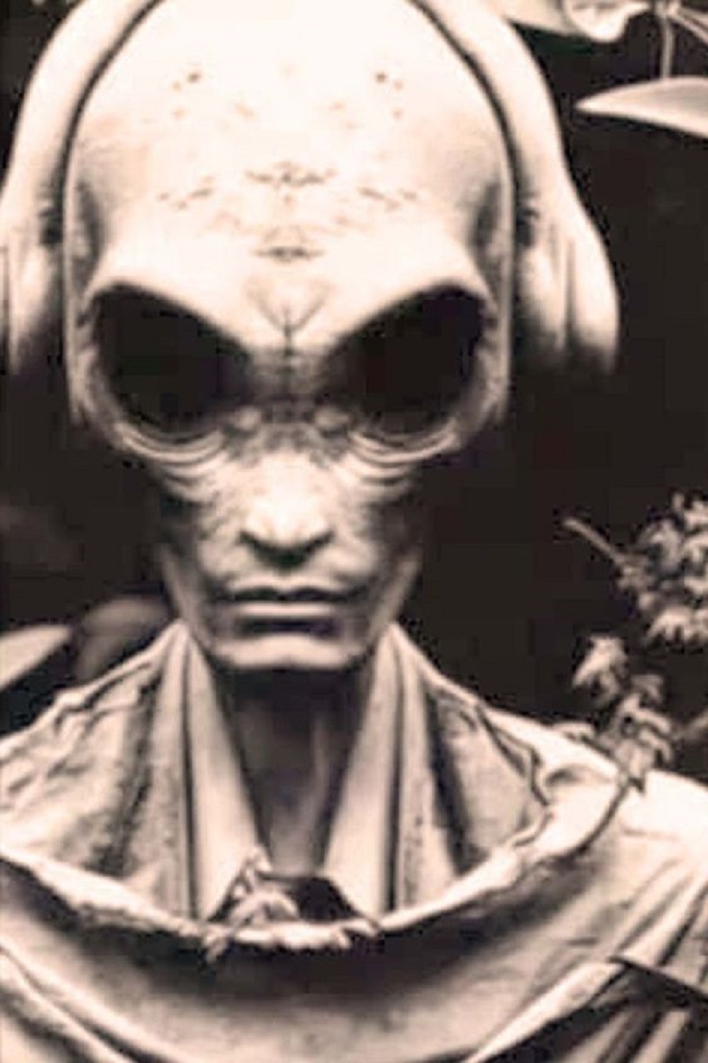 Unveiling the Enigma: The True Form of Aliens