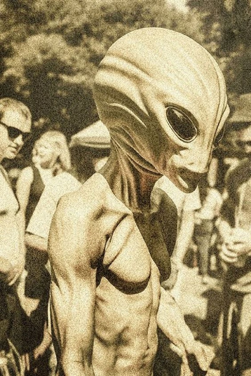 Unveiling the Enigma: The True Form of Aliens