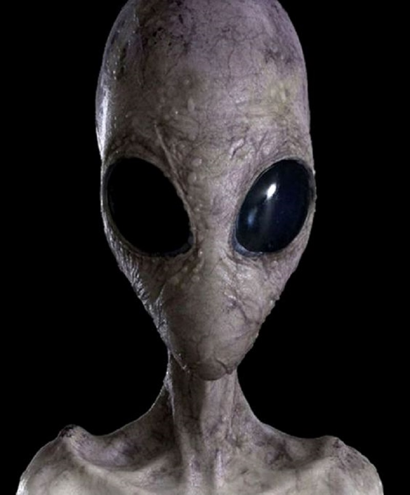 Unveiling the Enigma: The True Form of Aliens